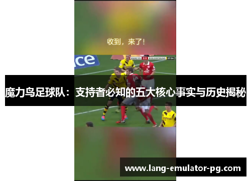 魔力鸟足球队:支持者必知的五大核心事实与历史揭秘 魔力鸟足球队:支持者必知的五大核心事实与历史揭秘