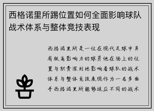 西格诺里所踢位置如何全面影响球队战术体系与整体竞技表现 西格诺里所踢位置如何全面影响球队战术体系与整体竞技表现