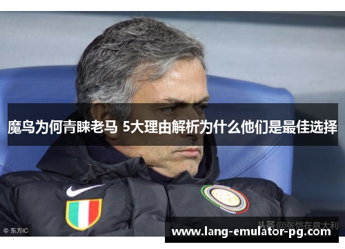 魔鸟为何青睐老马 5大理由解析为什么他们是最佳选择