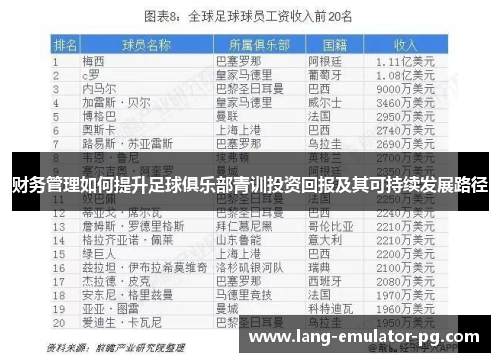 财务管理如何提升足球俱乐部青训投资回报及其可持续发展路径 财务管理如何提升足球俱乐部青训投资回报及其可持续发展路径