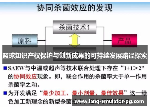 篮球知识产权保护与创新成果的可持续发展路径探索