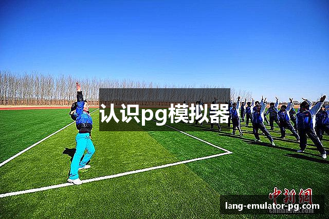 认识pg模拟器